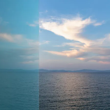 コス アクティス アート