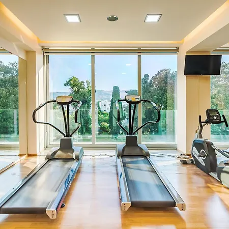 ホテル コス アクティス アート