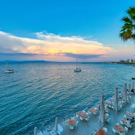 コス アクティス アート 4*