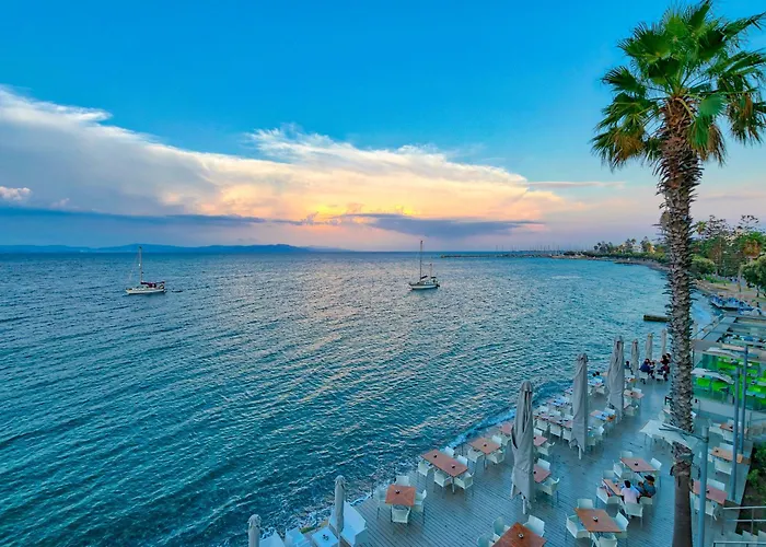 كوز أكتيس آرت 4*