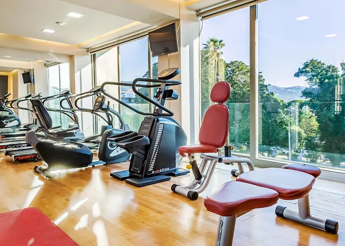 Otel Aktis Art İstanköy