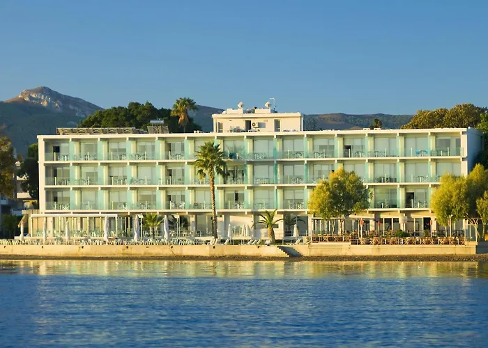 코스 아크티스 아트 4*